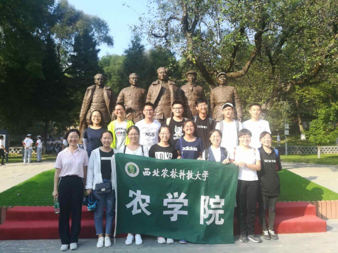 探索吸甲醛的东西,发现无限乐趣!